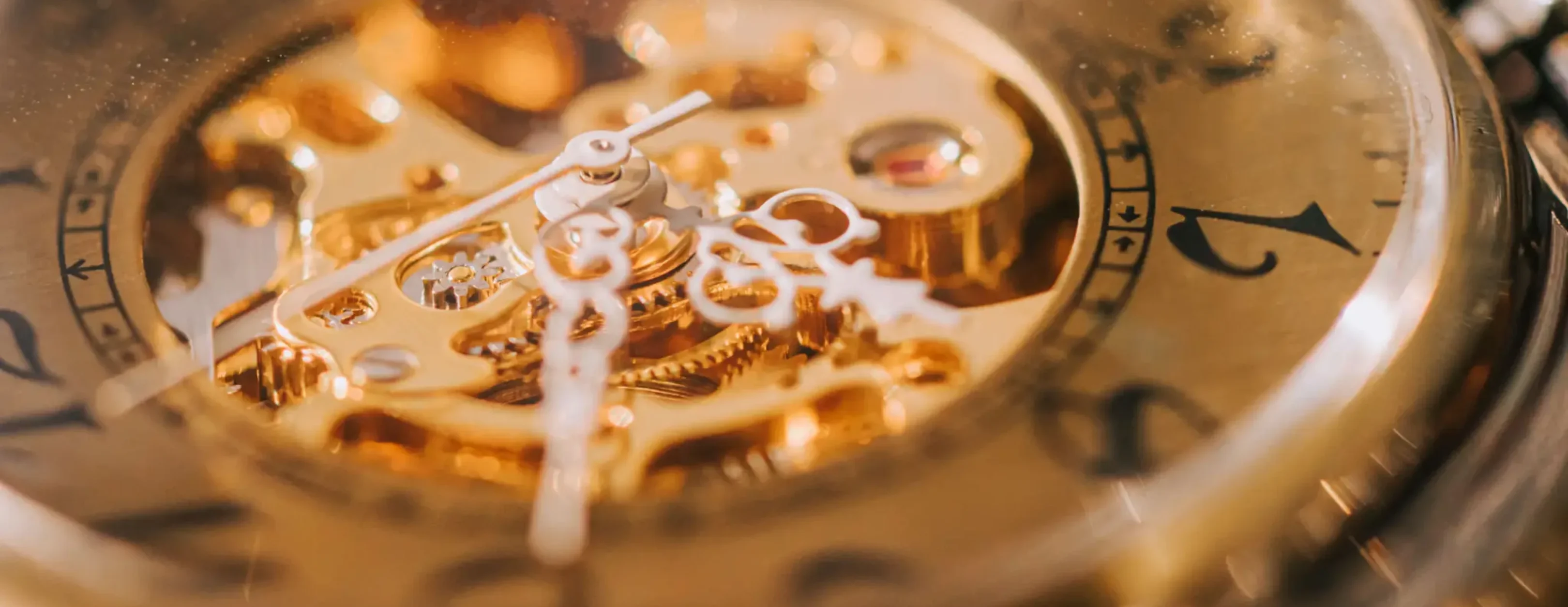 Intricate gold watch mechanism details
